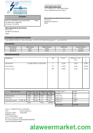 France Energies & Services Regie Municipal d' Electricite Sarre-Union electricity business utility bill template in Word and PDF formats, fully editable1